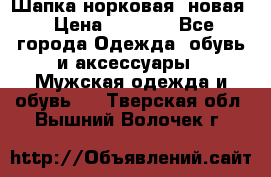 Шапка норковая, новая › Цена ­ 5 000 - Все города Одежда, обувь и аксессуары » Мужская одежда и обувь   . Тверская обл.,Вышний Волочек г.
